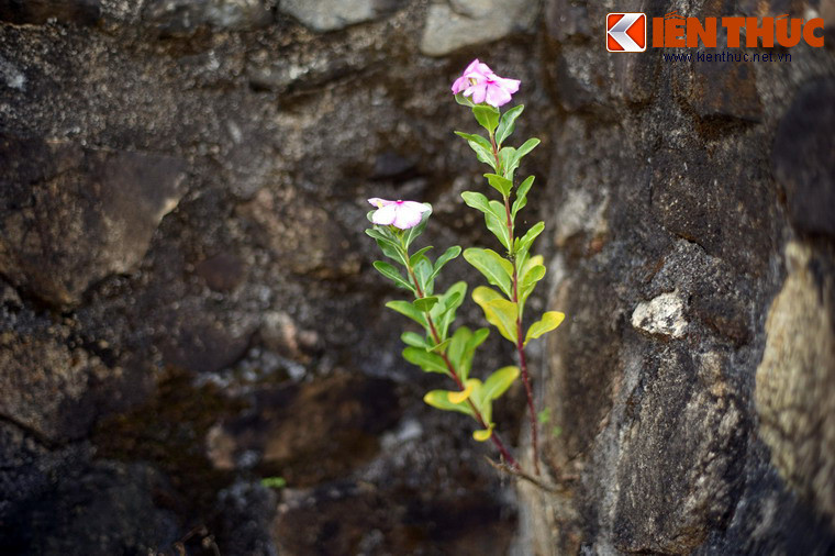 Đến năm 1996, di tích mộ và đền thờ Lương Văn Chánh đã được xếp hạng là di tích lịch sử cấp quốc gia của Việt Nam.