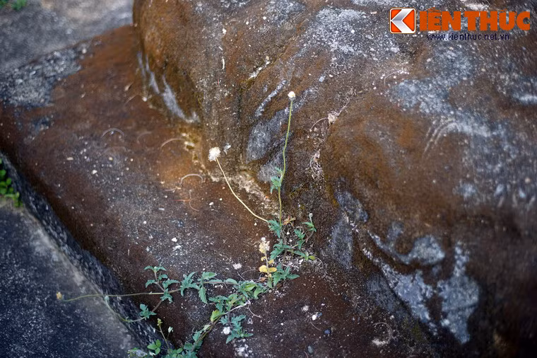 Đến năm 1822, dưới thời vua Minh Mạng, khu đền thờ và lăng mộ được mở rộng quy mô, đồng thời cắt người trông coi, chăm sóc.