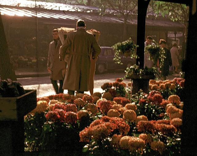 Cửa hàng hoa trên đường phố Paris. Ảnh: JAYL38 Flickr.