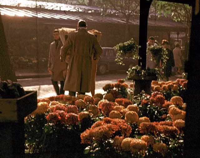 Cửa hàng hoa trên đường phố Paris. Ảnh: JAYL38 Flickr.