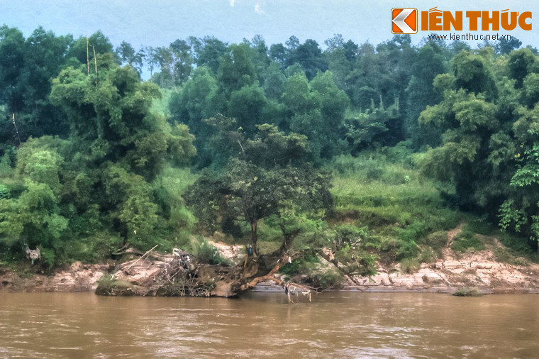 Ngay sau sự kiện lịch sử này, nhạc sĩ Văn Cao đã viết Trường ca Sông Lô. Đây là bản trường ca được nhiều người đánh giá là một đỉnh cao ghi dấu sự trưởng thành của nền tân nhạc non trẻ của Việt Nam (mời độc giả nghe bản trường ca này ở cuối bài).