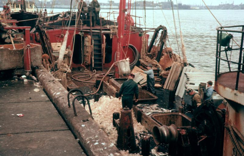 Khung cảnh tại cảng cá Boston, tháng 5/1961. Ảnh: Dick Leonhardt Flickr.