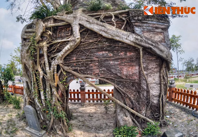 Cánh cổng này có tuổi đời hàng trăm năm, gây ấn tượng đặc biệt với một cây si lớn mọc trùm lên trên. Theo lời người cao tuổi ở địa phương, cây si đã tồn tại trong nhiều thập niên, khi chùa Hoằng Phúc rơi vào tình trạng đổ nát do chiến tranh và thiên tai.