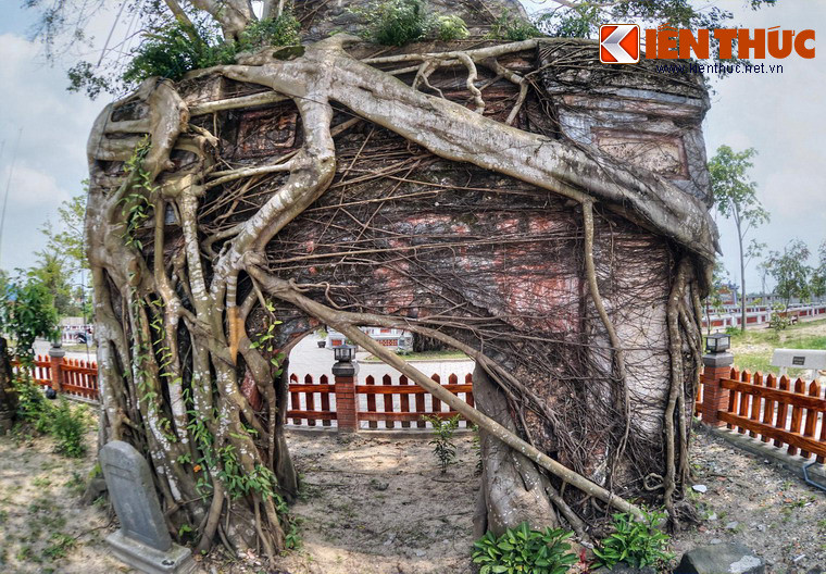 Cánh cổng này có tuổi đời hàng trăm năm, gây ấn tượng đặc biệt với một cây si lớn mọc trùm lên trên. Theo lời người cao tuổi ở địa phương, cây si đã tồn tại trong nhiều thập niên, khi chùa Hoằng Phúc rơi vào tình trạng đổ nát do chiến tranh và thiên tai.