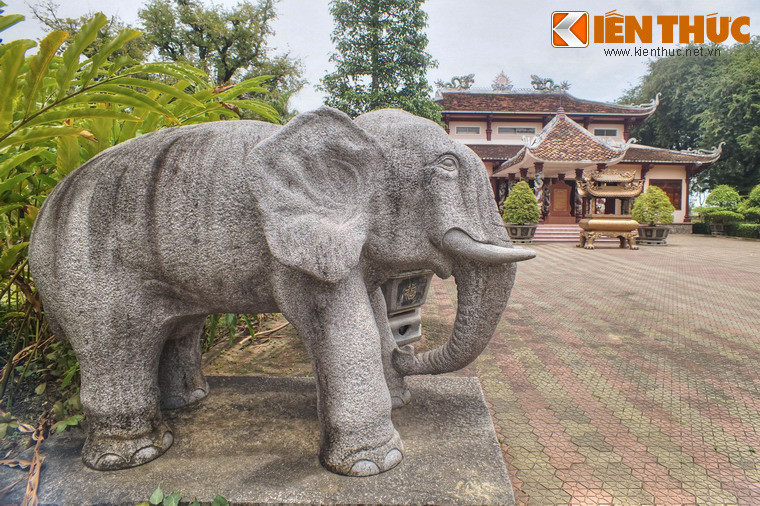 Từ một cuộc khởi nghĩa nông dân, phong trào Tây Sơn trở thành phong trào giải phóng dân tộc trên quy mô cả nước.