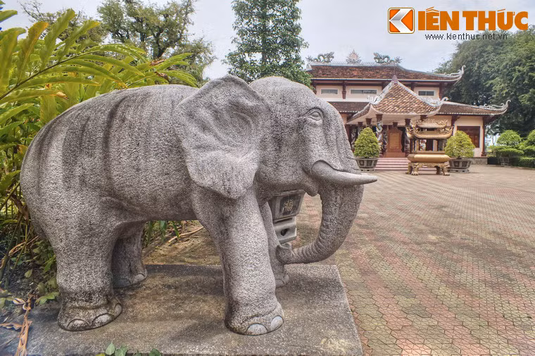 Từ một cuộc khởi nghĩa nông dân, phong trào Tây Sơn trở thành phong trào giải phóng dân tộc trên quy mô cả nước.