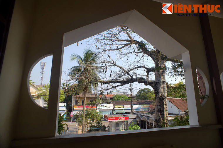 Là loài cây rất hữu dụng, sản phẩm từ bao báp có mặt rộng rãi trong đời sống thường nhật của người dân châu Phi. Hầu như tất cả những bộ phận của cây như rễ, vỏ, thân, lá, hoa, quả đều đều có ích.