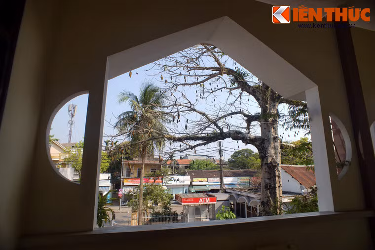 Là loài cây rất hữu dụng, sản phẩm từ bao báp có mặt rộng rãi trong đời sống thường nhật của người dân châu Phi. Hầu như tất cả những bộ phận của cây như rễ, vỏ, thân, lá, hoa, quả đều đều có ích.