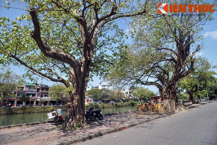 Một số hình ảnh khác.