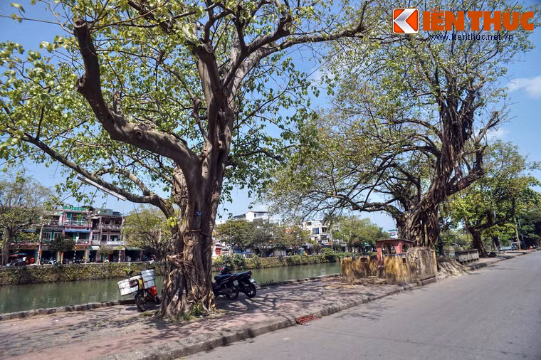 Một số hình ảnh khác.