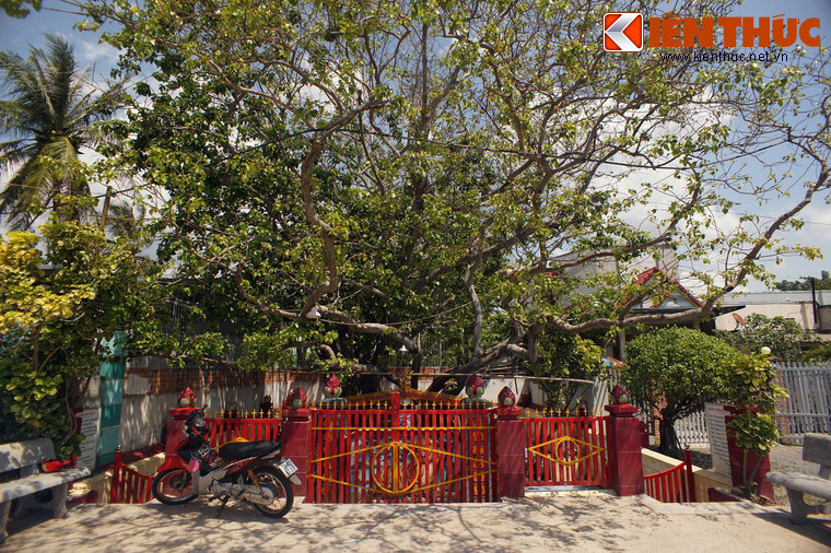 Trưa cùng ngày, đại tá thị trưởng chế độ cũ là Nguyễn Đình Tản nằm ngủ thì thấy một ông già đến báo mộng: “Sao nhà tao mà mày đem quân đến phá”. Tỉnh dậy, Tản sợ quá ra lệnh dẹp máy ủi và cho lính xây tường bao quanh lại.