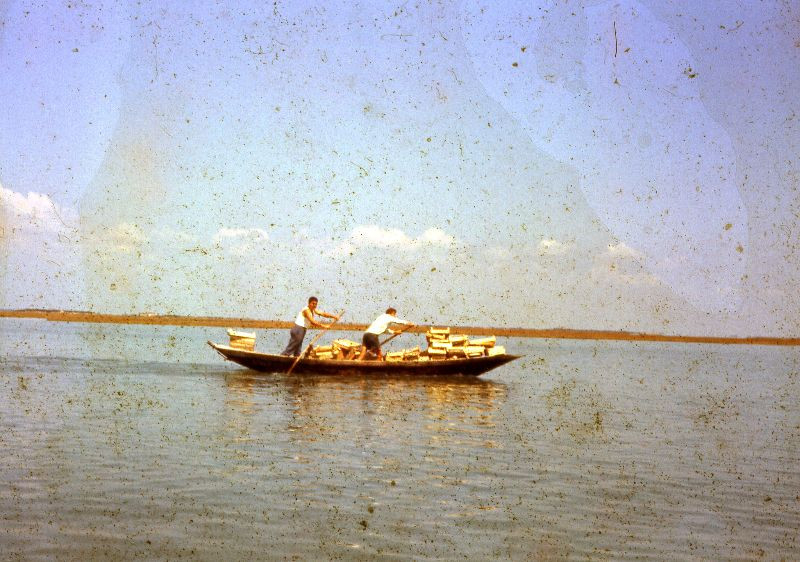 Trên đầm phá gần đảo Mazzorbo, Venice. Ảnh: Fraser Pettigrew Flickr.