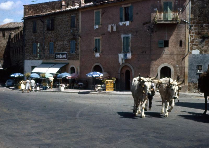 Xe bò kéo trên đường phố ở thành phố Acquapendente. Ảnh: Fraser Pettigrew Flickr.