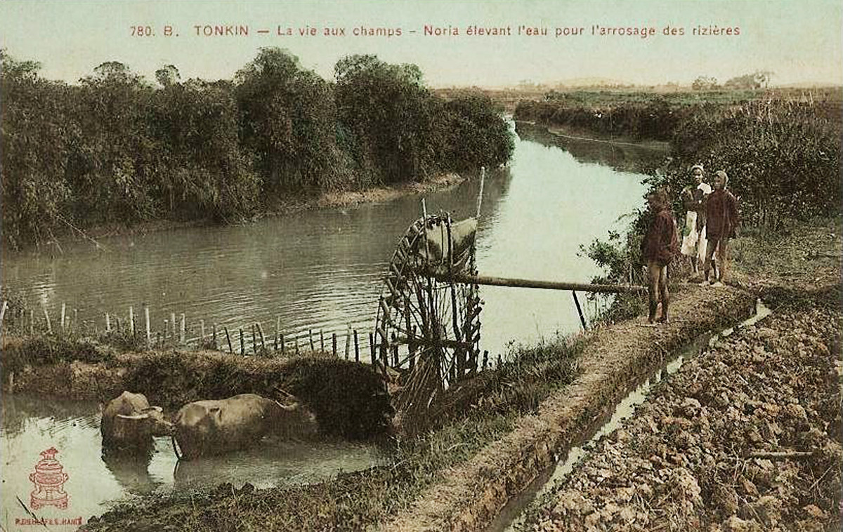 Guồng xe nước ở đồng bằng Bắc Bộ đầu thế kỷ 20.