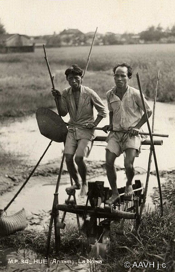Guồng xe nước đạp chân trên cánh đồng ở Thừa Thiên - Huế, năm 1920.