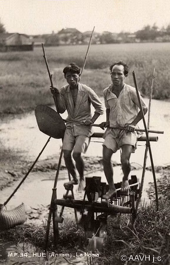 Guồng xe nước đạp chân trên cánh đồng ở Thừa Thiên - Huế, năm 1920.