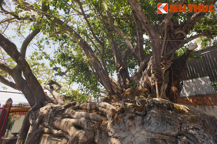 Theo giai thoại được lưu truyền, tướng Tống Văn Khôi đã bị trọng thương do phát chém ngang cổ, nhưng ông vẫn ngồi vững trên yên ngựa, hai tay vịn giữ không cho đầu của mình rơi xuống...