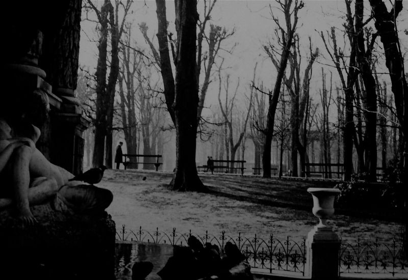 Khu vực đài phun nước Medici. Ảnh: JAYL38 Flickr.