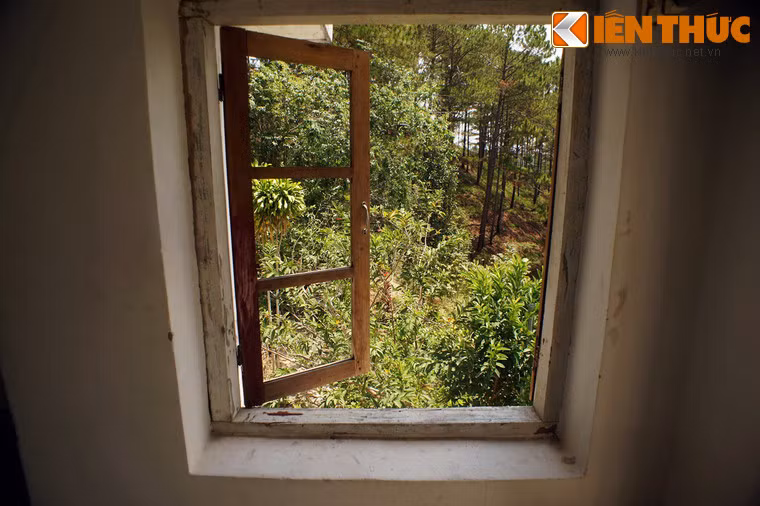 Bao quanh biệt thự là khu rừng thông tĩnh mịch.