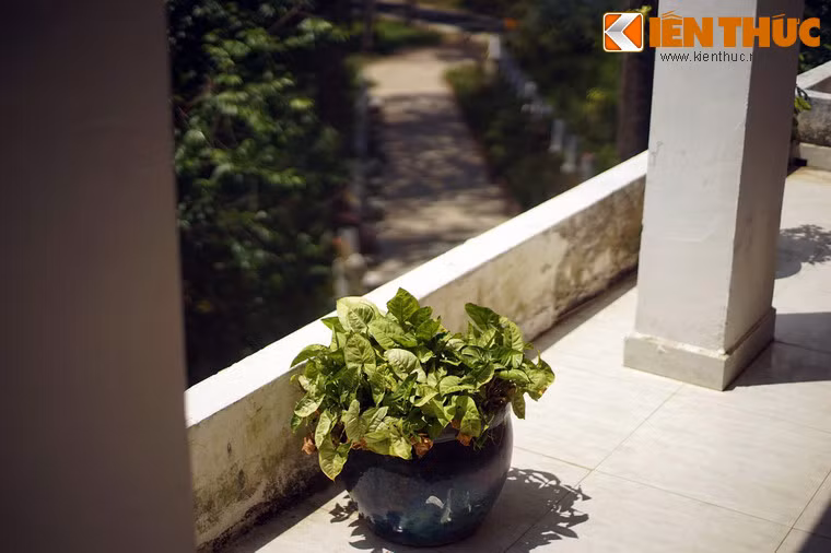 Vì vậy, ngôi biệt thự không còn mang dáng vẻ của một ngôi nhà bỏ hoang như nhiều năm trước đây.