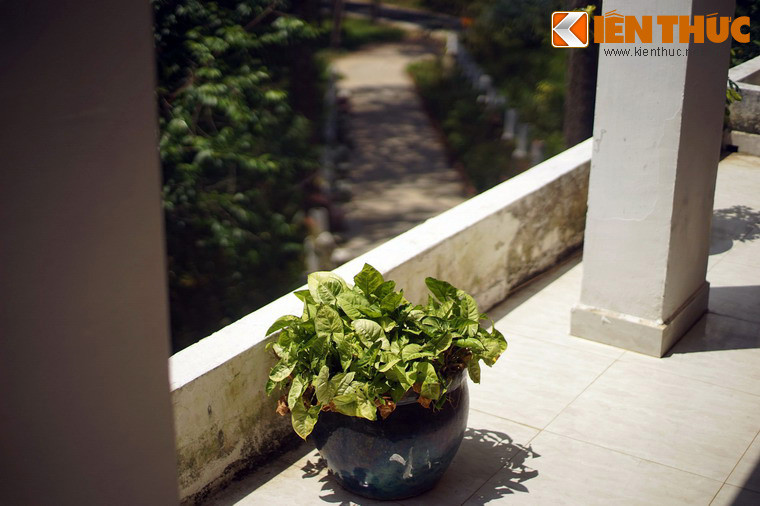 Vì vậy, ngôi biệt thự không còn mang dáng vẻ của một ngôi nhà bỏ hoang như nhiều năm trước đây.