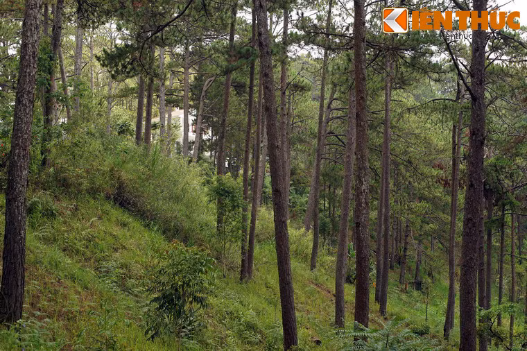 Theo thời gian, câu chuyện biến tướng thành vô số dị bản khác nhau, và ngôi biệt thự bất đắc dĩ bị gán cho cái tên "nhà ma". Nhưng ngôi nhà ma thực sự có... ma hay không?