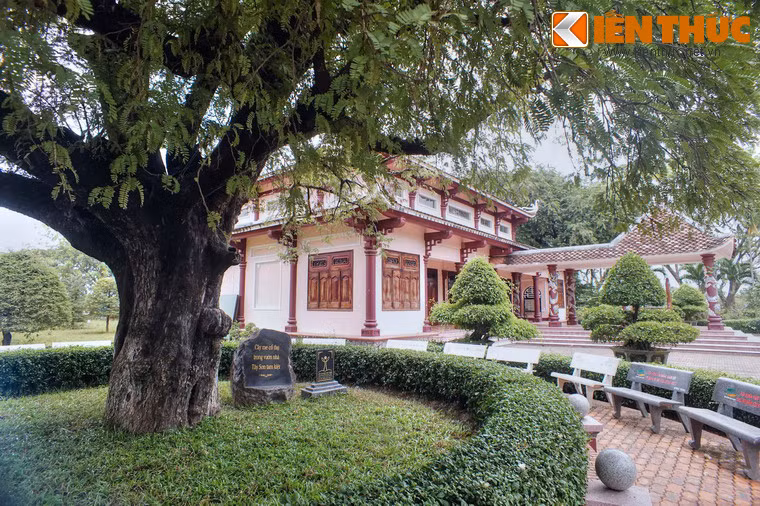 Ngoài giá trị tạo cảnh quan, cây me còn có ý nghĩa đặc biệt về mặt văn hóa, lịch sử, là biểu tượng cho sức sống, sự trường tồn của phong trào Tây Sơn trong lòng dân tộc.