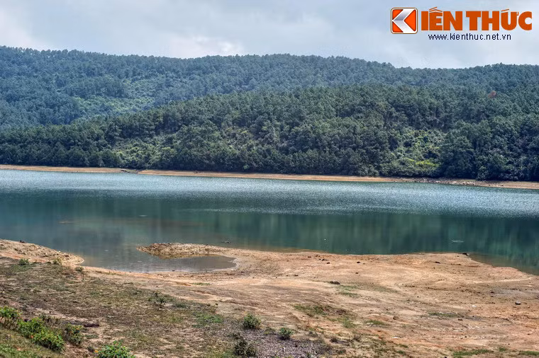 Quanh hồ là những dải thông xanh soi bóng xuống mặt nước.