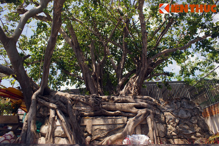 Theo bài viết, ông Tống Văn Khôi (có tư liệu ghi là Nguyễn Cửu Khôi) làm đến chức Thống suất Điều khiển Ngũ doanh tướng sĩ Gia Định. Năm 1775, ông giao chiến với quân Tây Sơn ở Ba Ngòi, bị thương nặng và chết tại đây. Mộ ông được lập năm 1804.