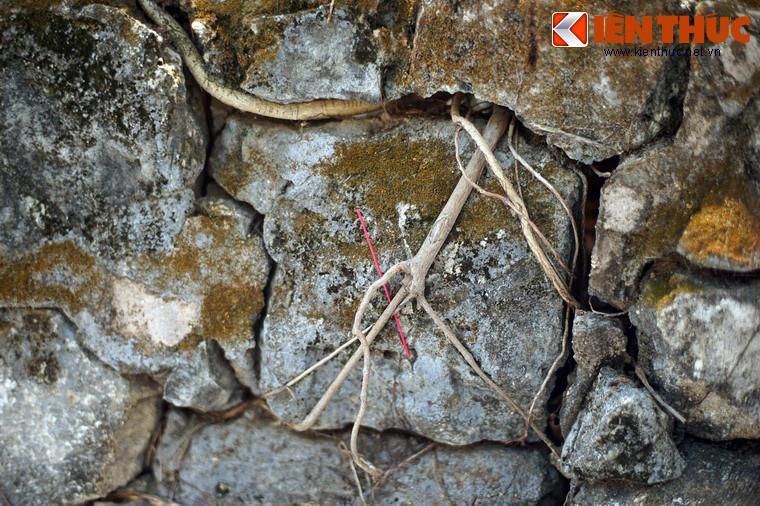 Trong một bài viết đăng trên Tạp chí Xưa &amp; Nay năm 2012, nhà nghiên cứu Nguyễn Văn Nghệ đưa ra giả thuyết người nằm dưới mộ là ông Tống Văn Khôi, một vị quan dưới triều chúa Nguyễn Phúc Thuần (1754 - 1777).