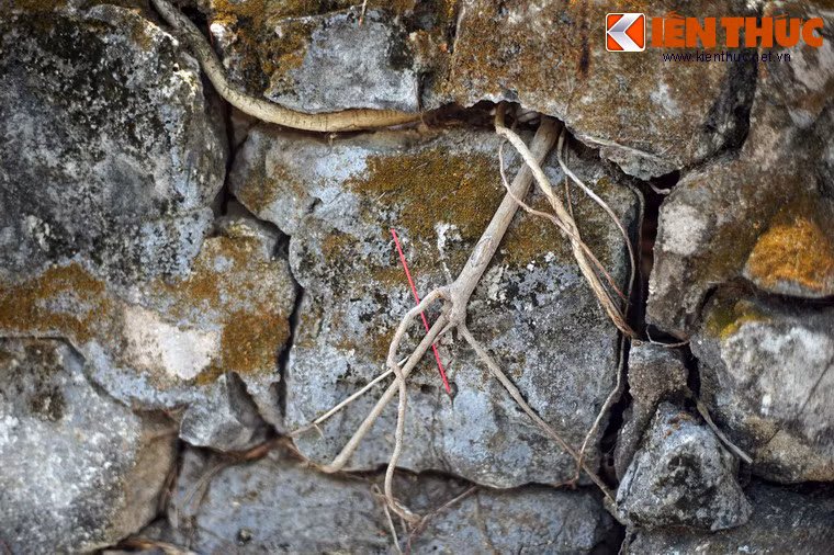 Trong một bài viết đăng trên Tạp chí Xưa &amp; Nay năm 2012, nhà nghiên cứu Nguyễn Văn Nghệ đưa ra giả thuyết người nằm dưới mộ là ông Tống Văn Khôi, một vị quan dưới triều chúa Nguyễn Phúc Thuần (1754 - 1777).