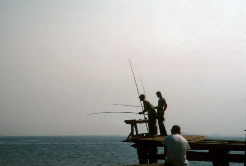 Những người câu cá trên đảo Castle, phía Nam Boston, tháng 9/1961. Ảnh: Dick Leonhardt Flickr.
