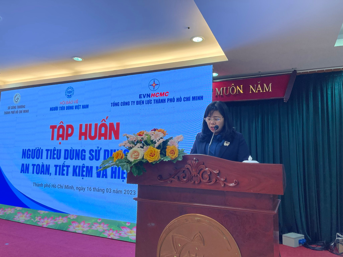 Tap huan “Nguoi tieu dung su dung dien an toan, tiet kiem va hieu qua