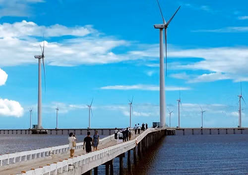 Mỗi tua bin có công suất xấp xỉ 1,6MW cấu tạo thép đặc biệt không gỉ, cao 80m, đường kính 4 m, nặng trên 200 tấn.