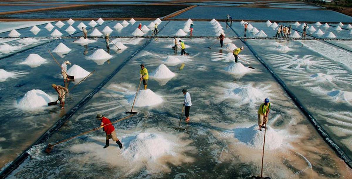 Cùng với đó là cánh đồng muối: Tại đây bạn có thể lưu lại những bức ảnh sắc nét dưới ánh nắng tự nhiên và đồng muối trắng ngần ngay sau lưng. 