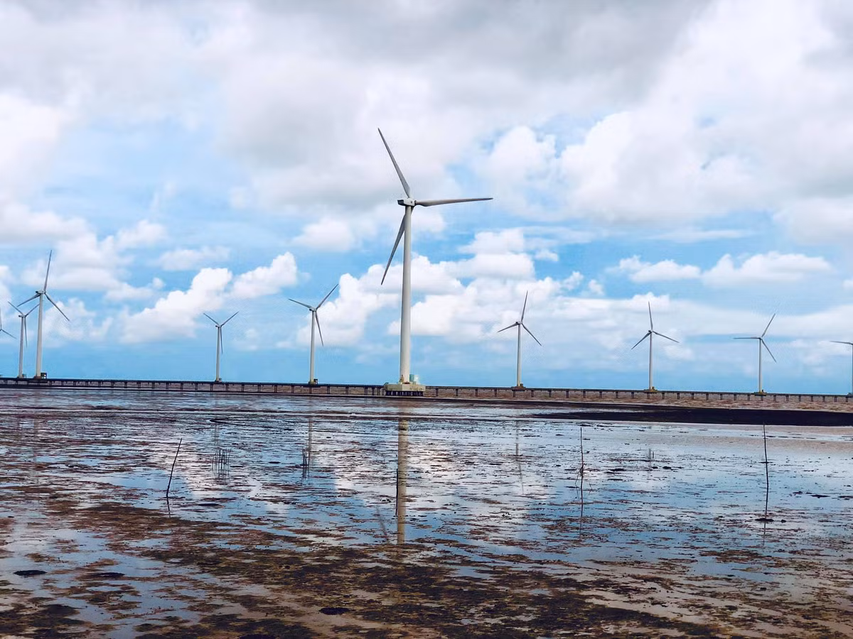 Nhà máy điện gió Bạc Liêu mà người dân quen gọi bằng tên giản dị là “cánh đồng điện gió” đặt tại xã Vĩnh Trạch Đông, TP Bạc Liêu, được xem là công trình điện gió lớn nhất cả nước.