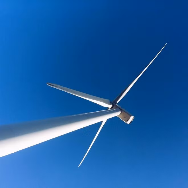 Các cột tháp và tua bin điện gió của nhà máy đều được đặt trên bờ biển. Phía trong là khu rừng phòng hộ tạo khung cảnh xanh mát, trong lành.