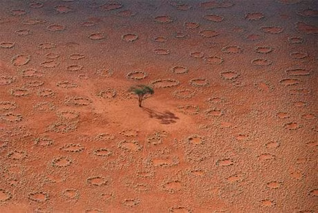 Hình tròn bí ẩn trên sa mạc Namib ở châu Phi: Những hình tròn này tồn tại từ 24-75 năm. Nhiều giả thuyết về nguồn gốc của những hình tròn - như hoạt động của kiến và mối. Tuy nhiên khó có thể hiểu, vì sao mối hoặc kiến tạo ra hình tròn, thay vì hình vuông...