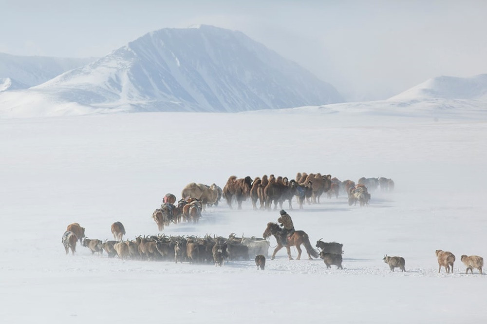 Mục đích chính của lễ hội huấn luyện đại bàng vàng là quảng bá nền văn hóa đậm đà bản sắc dân tộc của tộc người Kazakh ở Mông Cổ, cũng như thúc đẩy ngành du lịch phát triển.