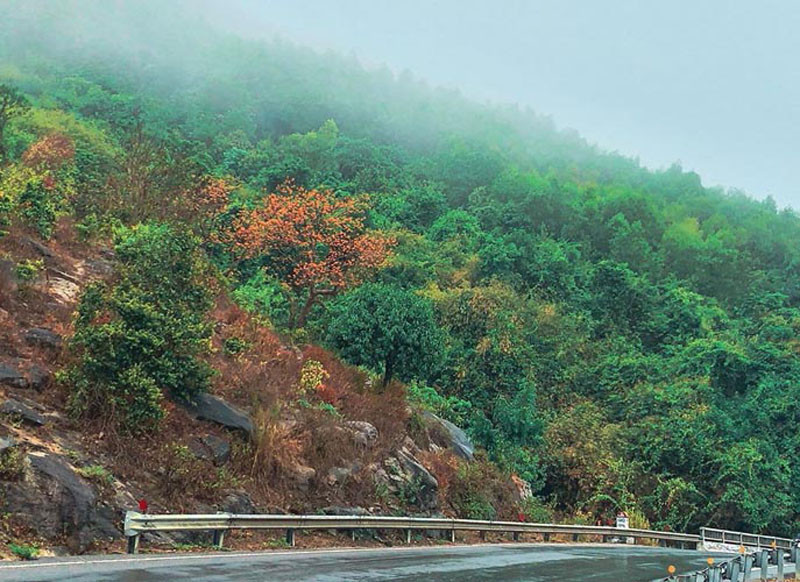 Theo các ghi chép để lại, trước đây, đèo được coi là ranh giới để phân chia hai nước Đại Việt và Chiêm Thành.