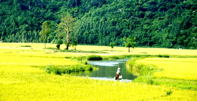 Đứng trên đỉnh đèo Cả có thể phóng tầm mắt nhìn ra một khoảng trời rộng lớn. Một bức tranh sơn thủy hữu tình hiện lên từ đồng bằng đến núi rừng, phía xa xăm là biển cả mênh mông.