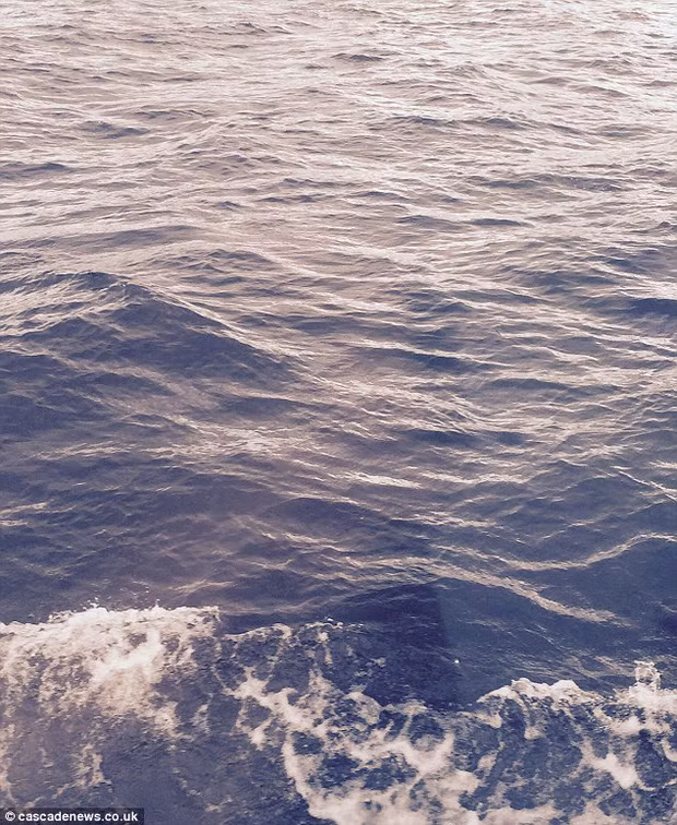 Du khách Mỹ Natasha Heidlage chụp được bức ảnh ghi lại được một bóng đen trên mặt hồ Loch Ness. Một số người hoài nghi đây là quái vật hồ Loch Ness. Với bức ảnh này, Heidlage đoạt giải nhất cuộc thi ảnh đẹp nhất chụp tại hồ Loch Ness năm 2016.