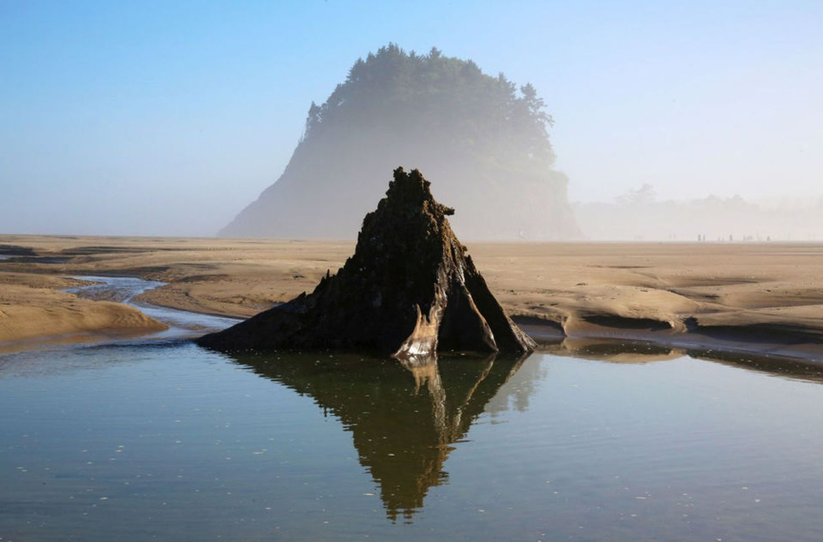 Khu rừng đặc biệt này là tàn tích còn sót lại của khu rừng vân sam cổ đại.