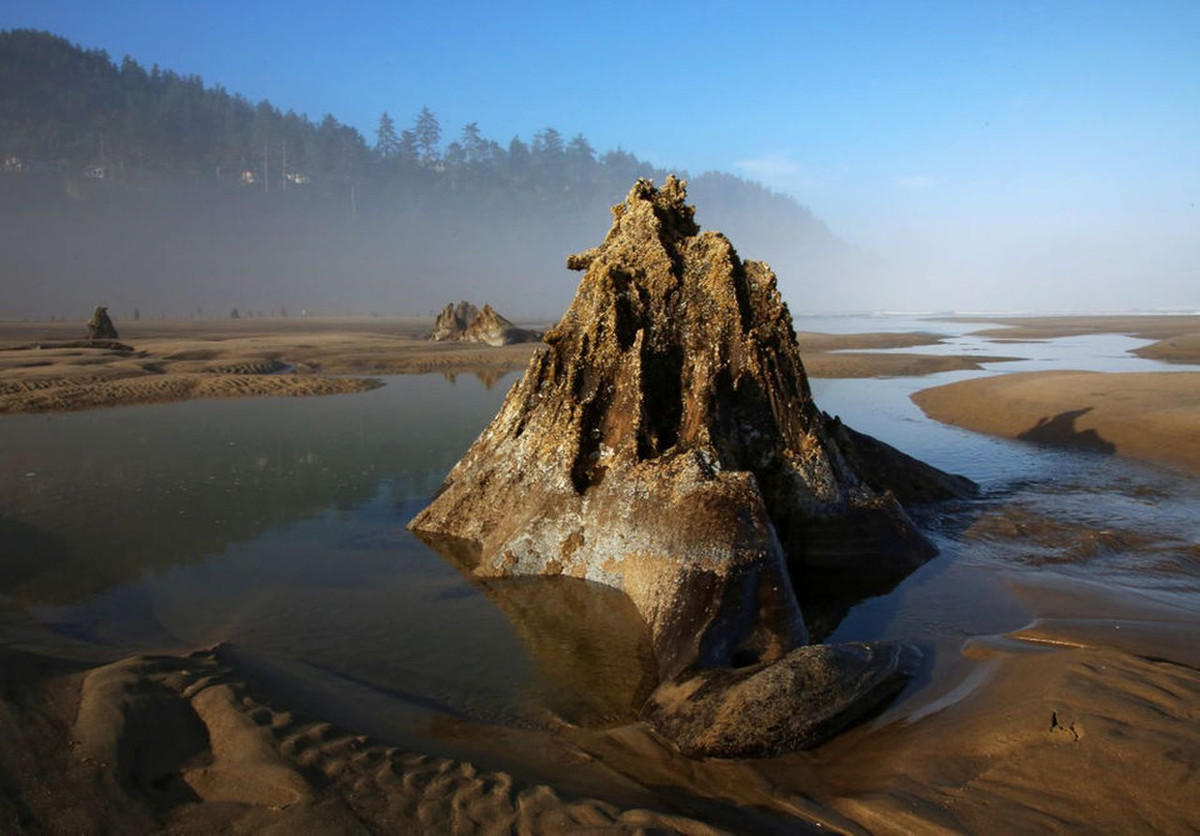 Theo đó, nơi đây trở thành điểm đến hút khách tham quan và tìm hiểu sự việc kỳ bí xảy ra tại khu rừng đặc biệt này.
