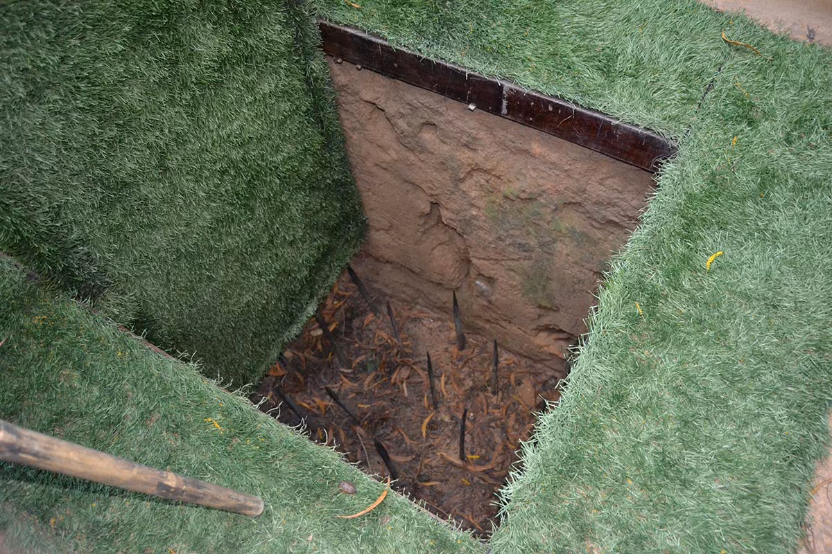 Bẫy chông được đánh giá là loại bẫy được thiết kế đơn giản nhưng hiệu quả sử dụng khá cao.