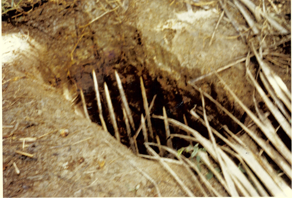 Người xưa đã đào một số hố lớn trong rừng. Bên dưới là những chông che hoặc gỗ được vót sắc nhọn.