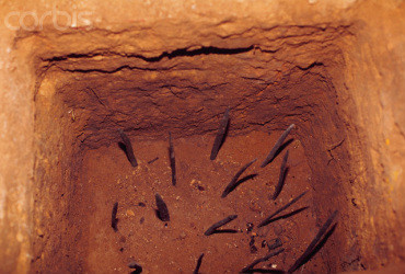 Phía trên bẫy chông được ngụy trang giống như vùng đất bình thường. Nếu kẻ địch rơi xuống bẫy chông sẽ không chết ngay nhưng phải chịu sự đau đớn tột độ.