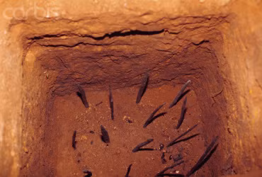 Phía trên bẫy chông được ngụy trang giống như vùng đất bình thường. Nếu kẻ địch rơi xuống bẫy chông sẽ không chết ngay nhưng phải chịu sự đau đớn tột độ.