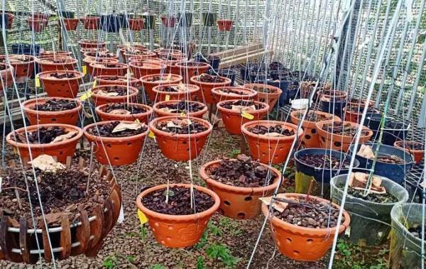 Trom “don” hon 150 gio lan dot bien bac ti, ong chu nhap vien cap cuu