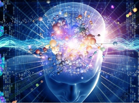 Không những vậy, cặp sinh đôi còn có thể chia sẻ suy nghĩ dù họ ở cách xa nhau hàng trăm, hàng nghìn km.